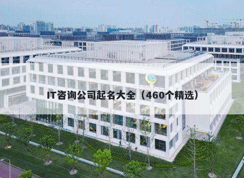 IT咨询公司起名大全（460个精选）