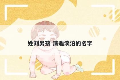 姓刘男孩 清雅淡泊的名字