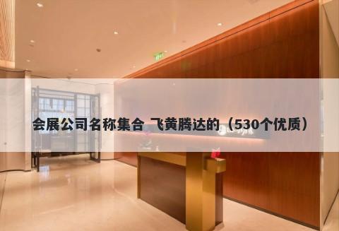 会展公司名称集合 飞黄腾达的（530个优质）
