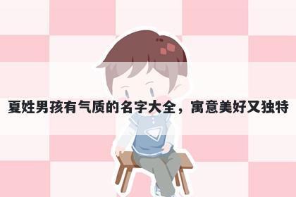 夏姓男孩有气质的名字大全，寓意美好又独特