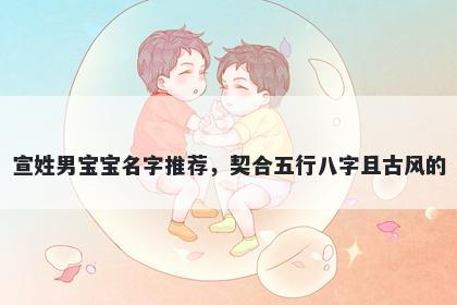宣姓男宝宝名字推荐，契合五行八字且古风的