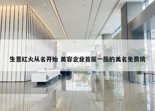 生意红火从名开始 美容企业首屈一指的美名免费挑