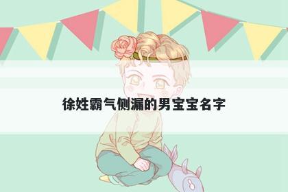 徐姓霸气侧漏的男宝宝名字