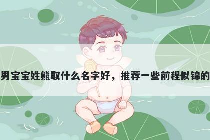 刚出生的男宝宝姓熊取什么名字好，推荐一些前程似锦的男孩名字