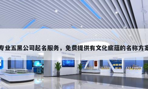 专业五黑公司起名服务，免费提供有文化底蕴的名称方案