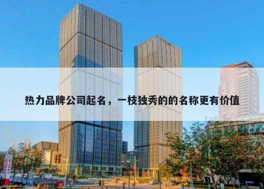 热力品牌公司起名，一枝独秀的的名称更有价值