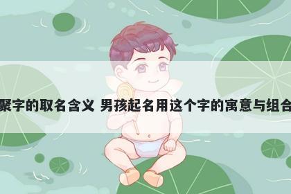 聚字的取名含义 男孩起名用这个字的寓意与组合