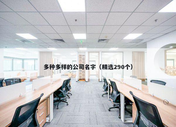 多种多样的公司名字（精选290个）