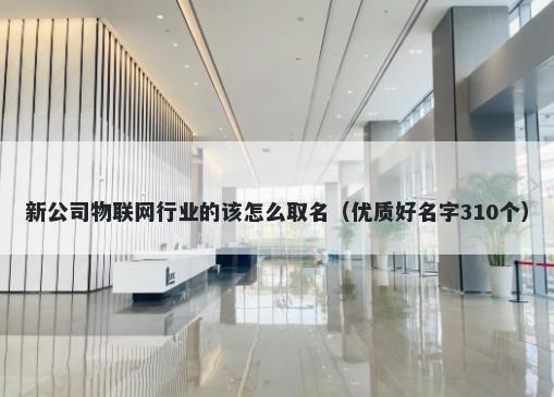 新公司物联网行业的该怎么取名（优质好名字310个）