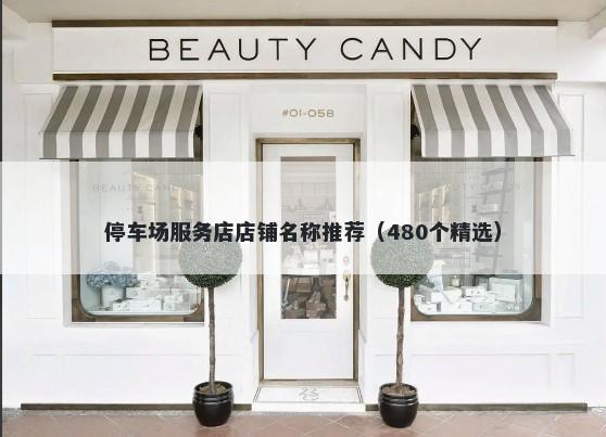 停车场服务店店铺名称推荐（480个精选）