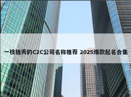一枝独秀的C2C公司名称推荐 2025爆款起名合集