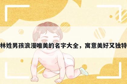 林姓男孩浪漫唯美的名字大全，寓意美好又独特