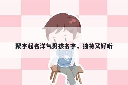 聚字起名洋气男孩名字，独特又好听