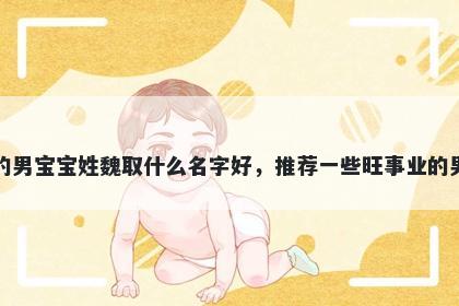 刚出生的男宝宝姓魏取什么名字好，推荐一些旺事业的男孩名字