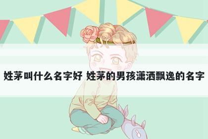 姓茅叫什么名字好 姓茅的男孩潇洒飘逸的名字