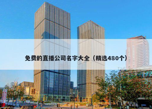 免费的直播公司名字大全（精选480个）