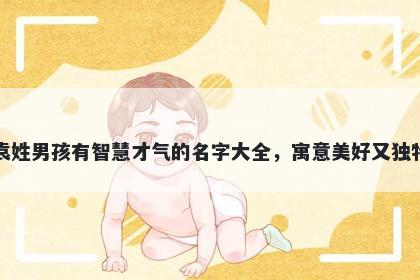 袁姓男孩有智慧才气的名字大全,寓意美好又独特