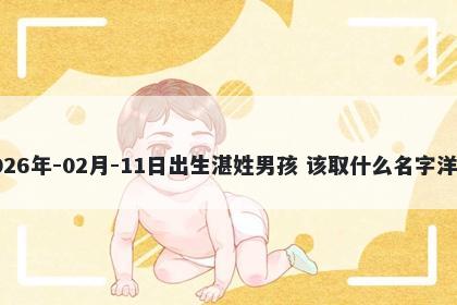 2026年-02月-11日出生湛姓男孩 该取什么名字洋气