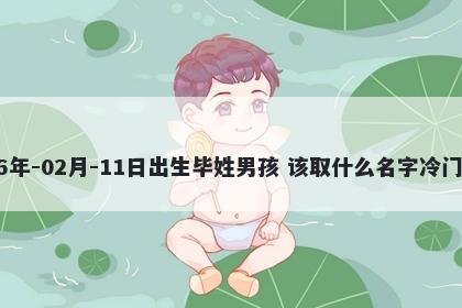 2026年-02月-11日出生毕姓男孩 该取什么名字冷门独特