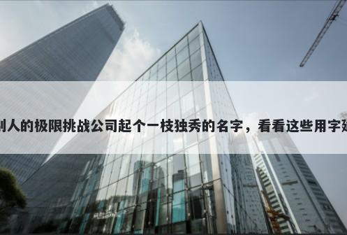 给别人的极限挑战公司起个一枝独秀的名字，看看这些用字建议