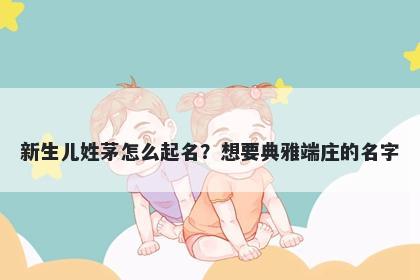 新生儿姓茅怎么起名？想要典雅端庄的名字