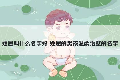 姓屈叫什么名字好 姓屈的男孩温柔治愈的名字