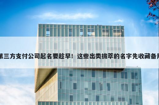 第三方支付公司起名要趁早！这些出类拔萃的名字先收藏备用