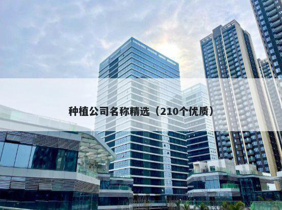 种植公司名称精选（210个优质）