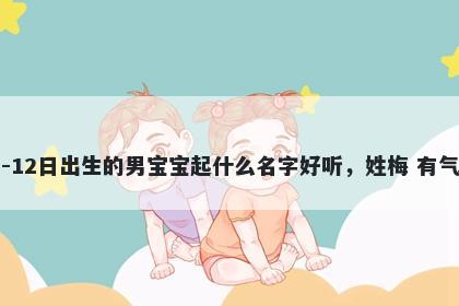 2026年-02月-12日出生的男宝宝起什么名字好听，姓梅 有气质的名字推荐