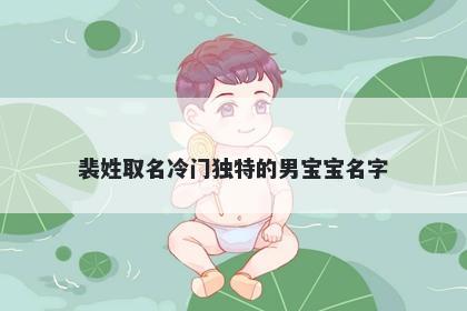 裴姓取名冷门独特的男宝宝名字