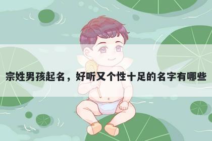 宗姓男孩起名，好听又个性十足的名字有哪些
