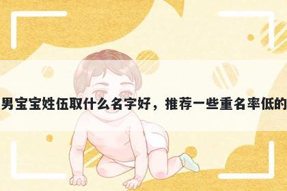 刚出生的男宝宝姓伍取什么名字好,推荐一些重名率低的男孩名字