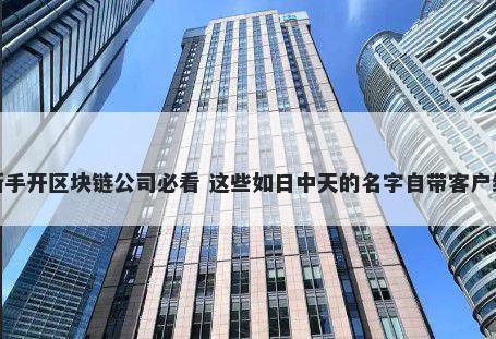 新手开区块链公司必看 这些如日中天的名字自带客户缘