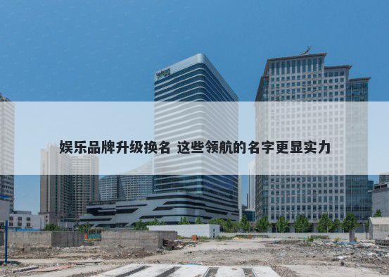 娱乐品牌升级换名 这些领航的名字更显实力