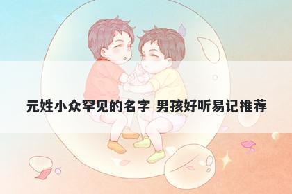 元姓小众罕见的名字 男孩好听易记推荐