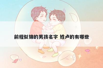 前程似锦的男孩名字 姓卢的有哪些