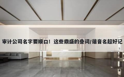 审计公司名字要顺口！这些鼎盛的叠词/谐音名超好记