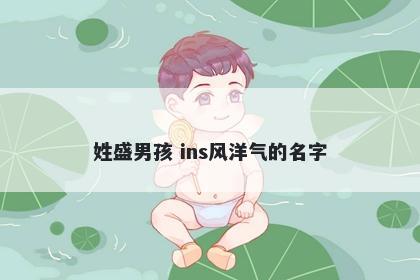 姓盛男孩 ins风洋气的名字