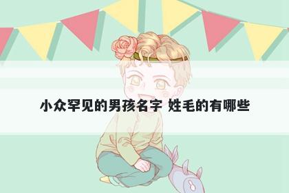 小众罕见的男孩名字 姓毛的有哪些