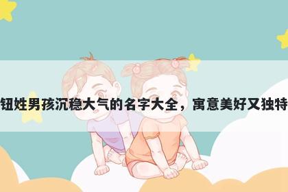 钮姓男孩沉稳大气的名字大全，寓意美好又独特