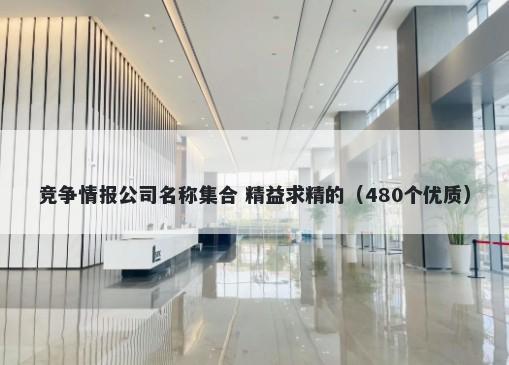 竞争情报公司名称集合 精益求精的（480个优质）