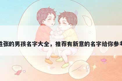 姓张的男孩名字大全，推荐有新意的名字给你参考