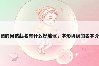 姓荀的男孩起名有什么好建议，字形协调的名字介绍