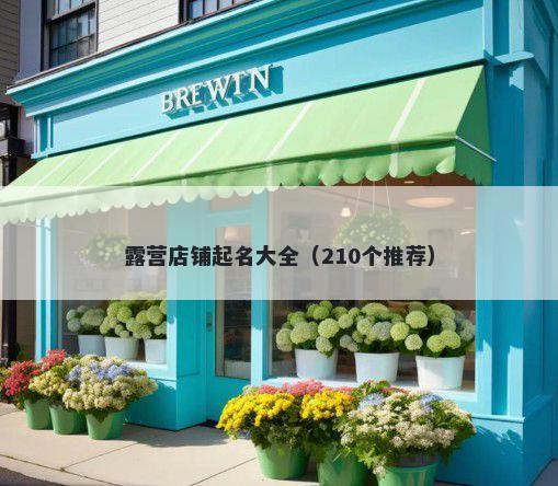 露营店铺起名大全（210个推荐）