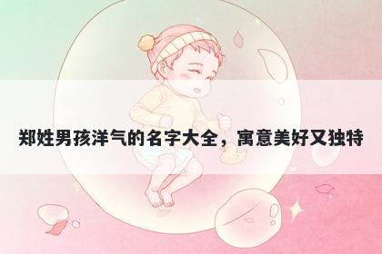郑姓男孩洋气的名字大全，寓意美好又独特
