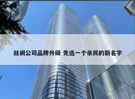 丝绸公司品牌升级 先选一个亲民的新名字