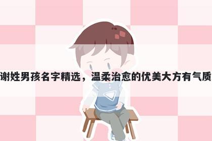 谢姓男孩名字精选，温柔治愈的优美大方有气质