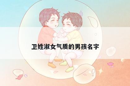 卫姓淑女气质的男孩名字