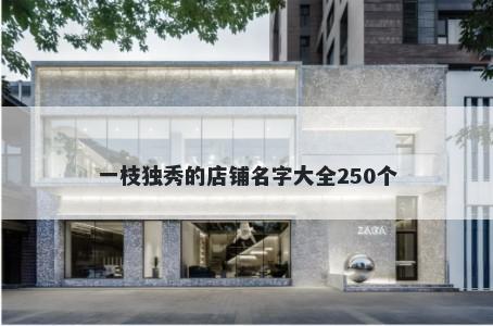 一枝独秀的店铺名字大全250个