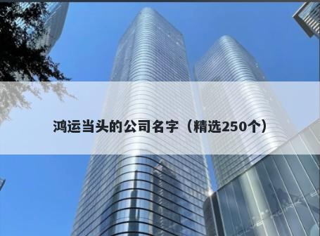 鸿运当头的公司名字（精选250个）